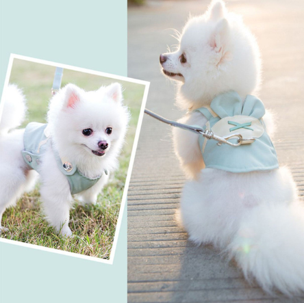 Dog harness for shop pomeranian
