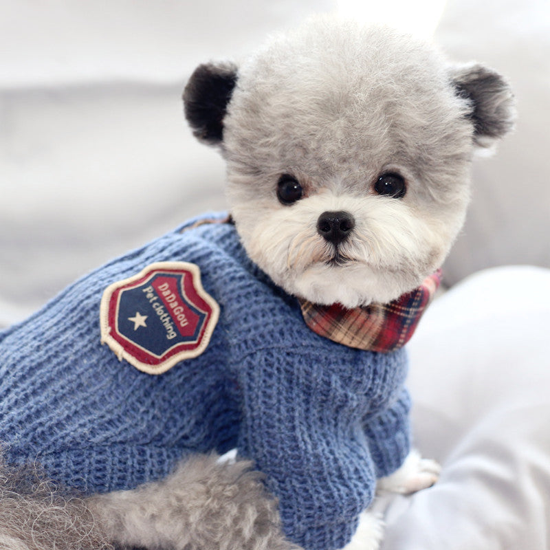 Pet Sweater Shirt Combo for Dogs & Cats