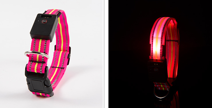 Multifunctional Pet Collar for Dogs & Cats