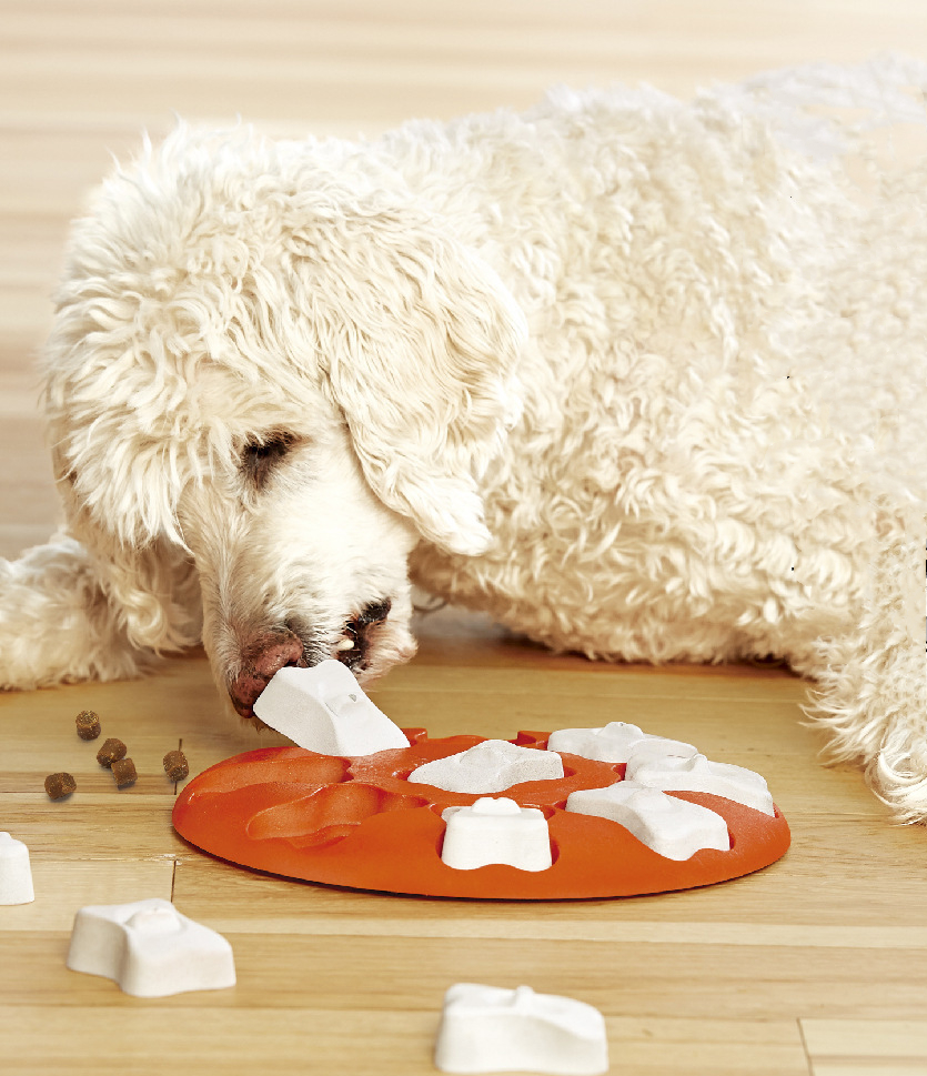 Smart Treat Puzzle Pet Toy for Dogs & Cats