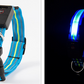 Multifunctional Pet Collar for Dogs & Cats