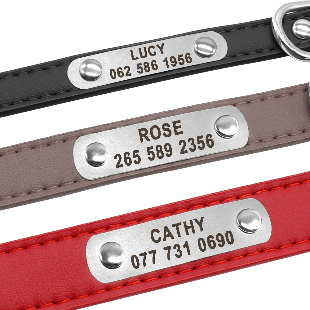 Personalized Pet ID Collar for Dogs & Cats