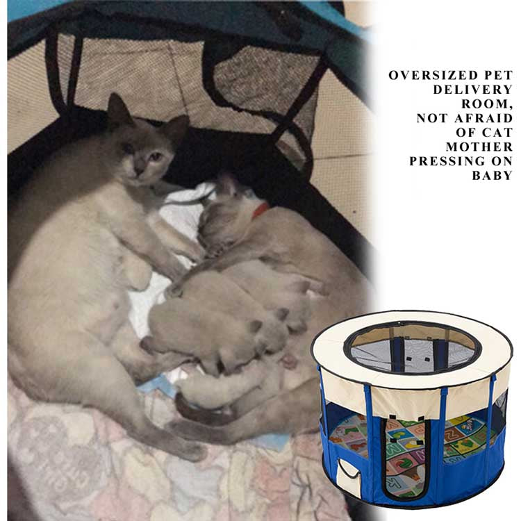 Outdoor Portable Foldable Pet Playpen for Cats & Small Dogs