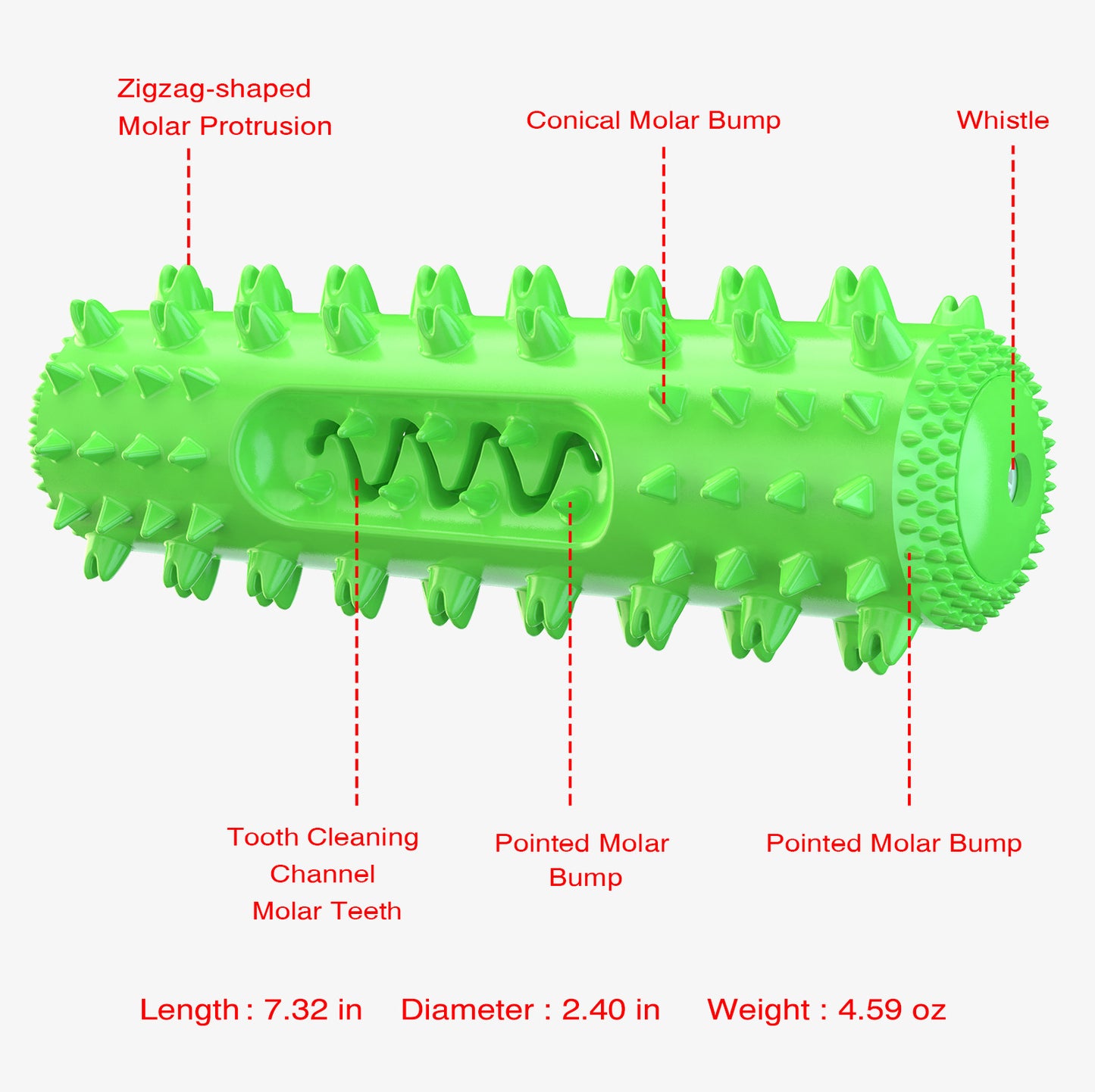 Sounding Dog Chew Toy with Dental Care