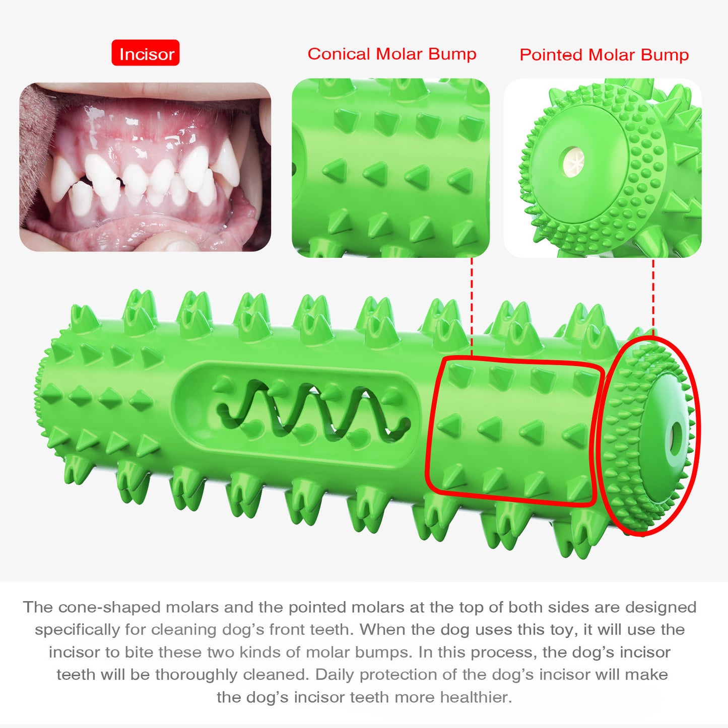 Sounding Dog Chew Toy with Dental Care