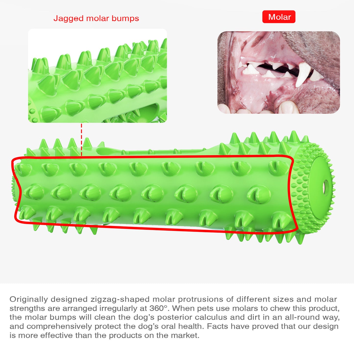 Sounding Dog Chew Toy with Dental Care