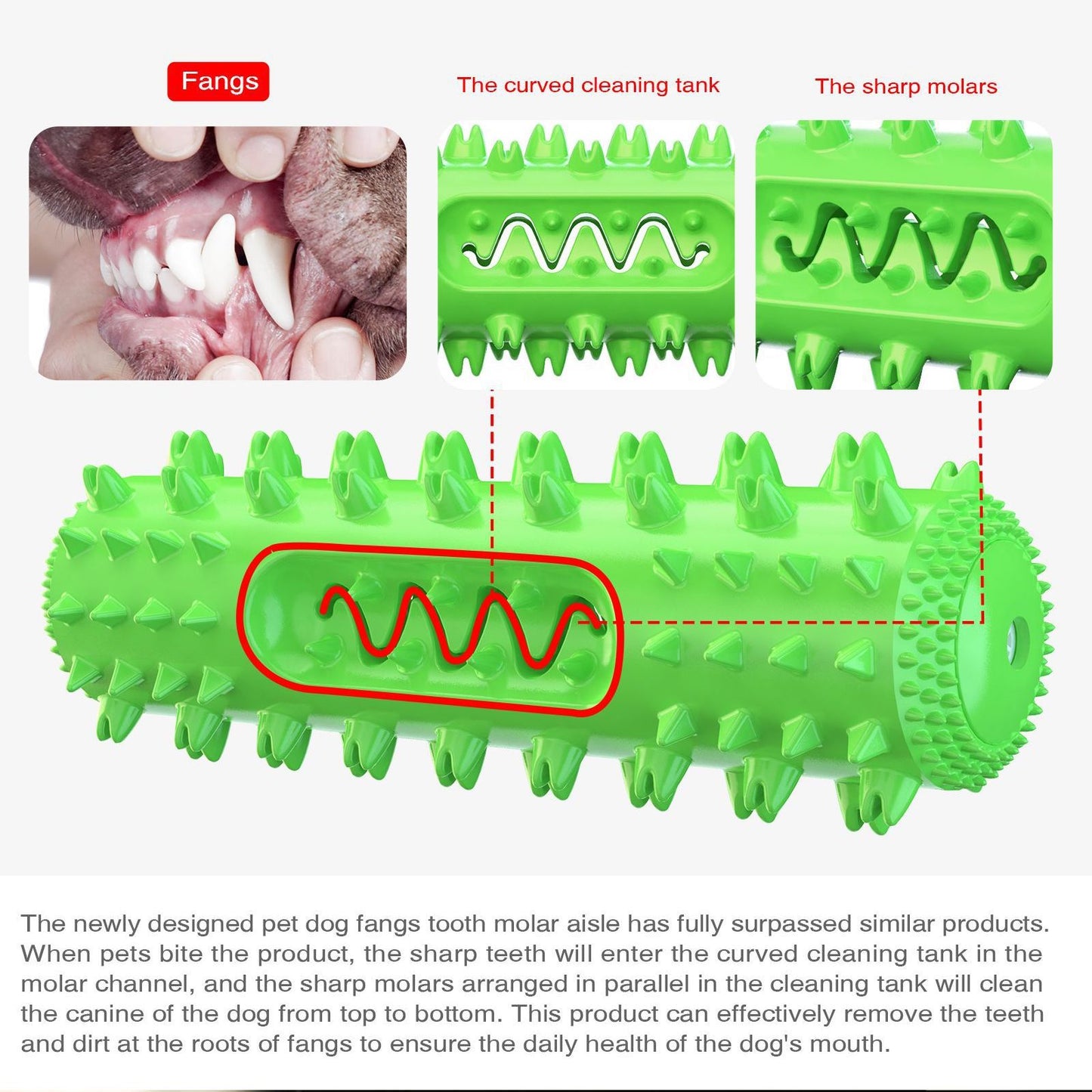 Sounding Dog Chew Toy with Dental Care