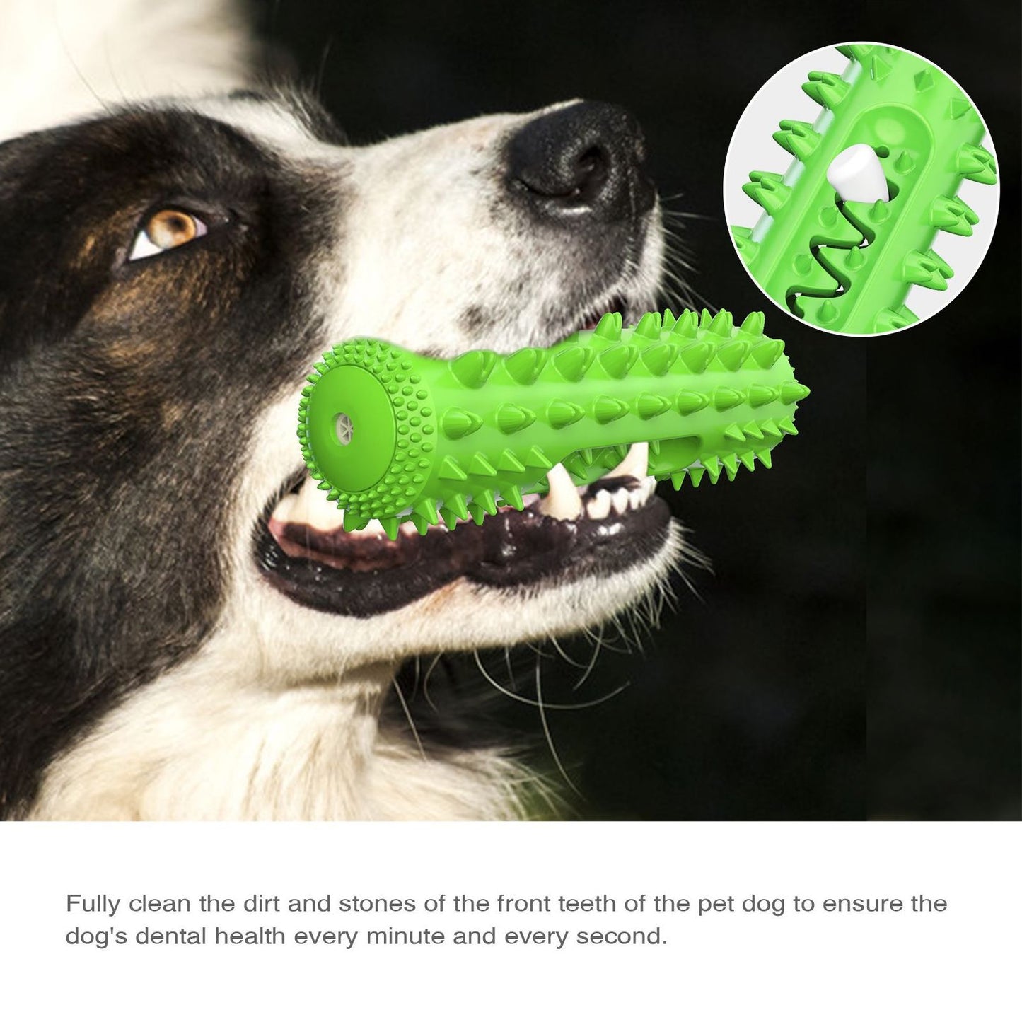 Sounding Dog Chew Toy with Dental Care