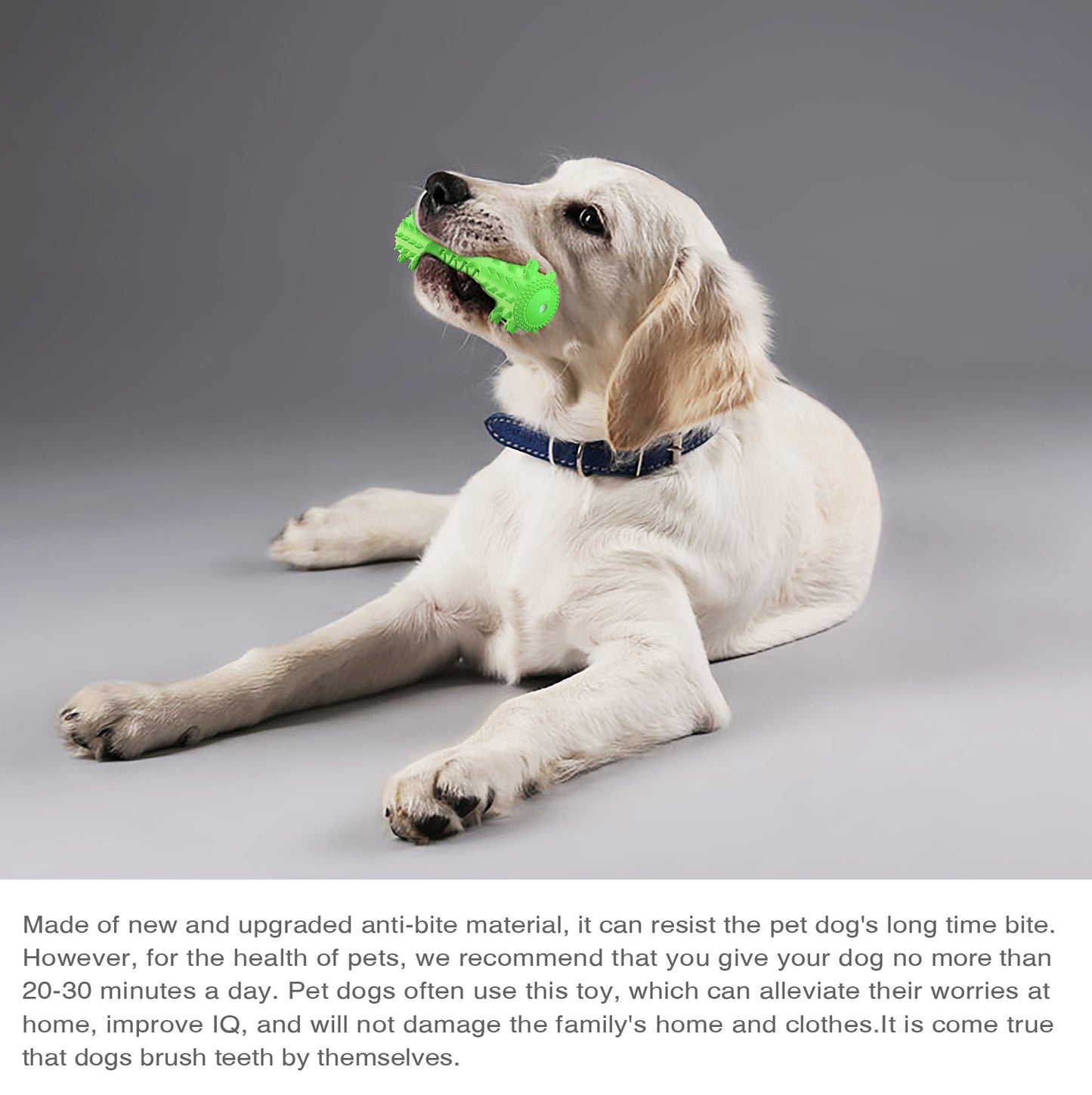 Sounding Dog Chew Toy with Dental Care