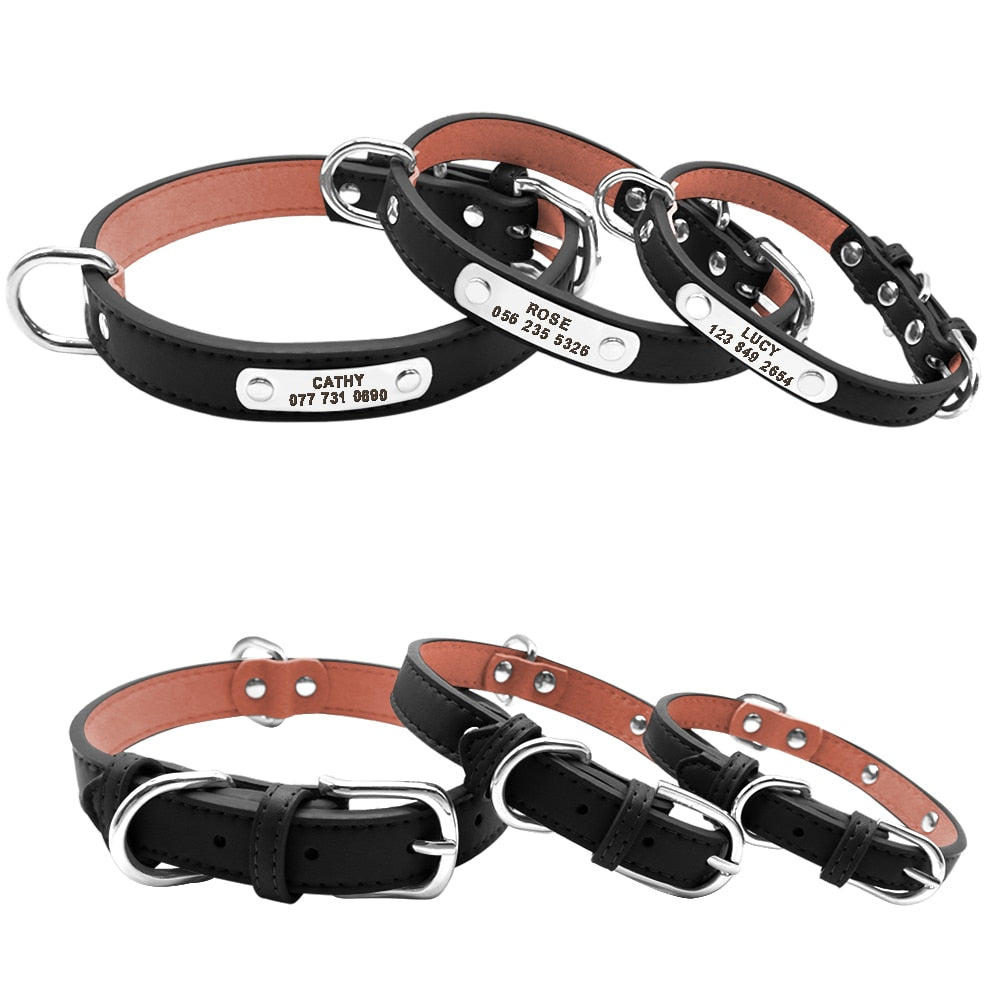 Personalized Pet ID Collar for Dogs & Cats