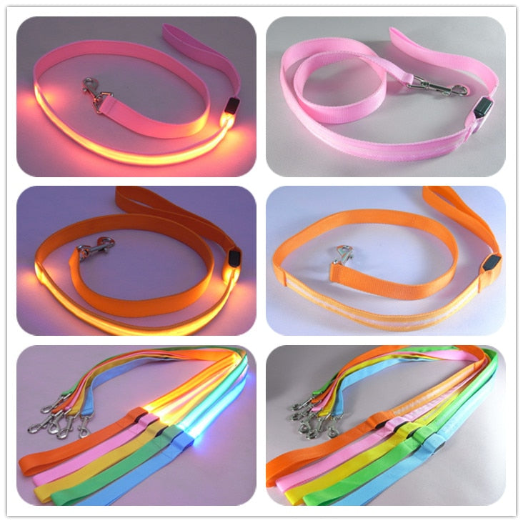 LED Pet Leash for Dogs & Cats