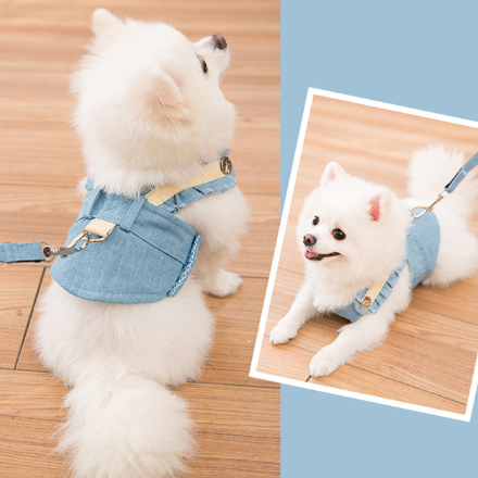 Cute small dog sales harness