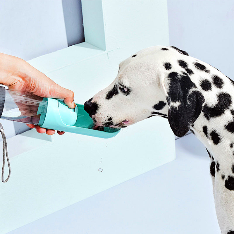 Multifunctional Portable Water Bottle for Dogs & Cats