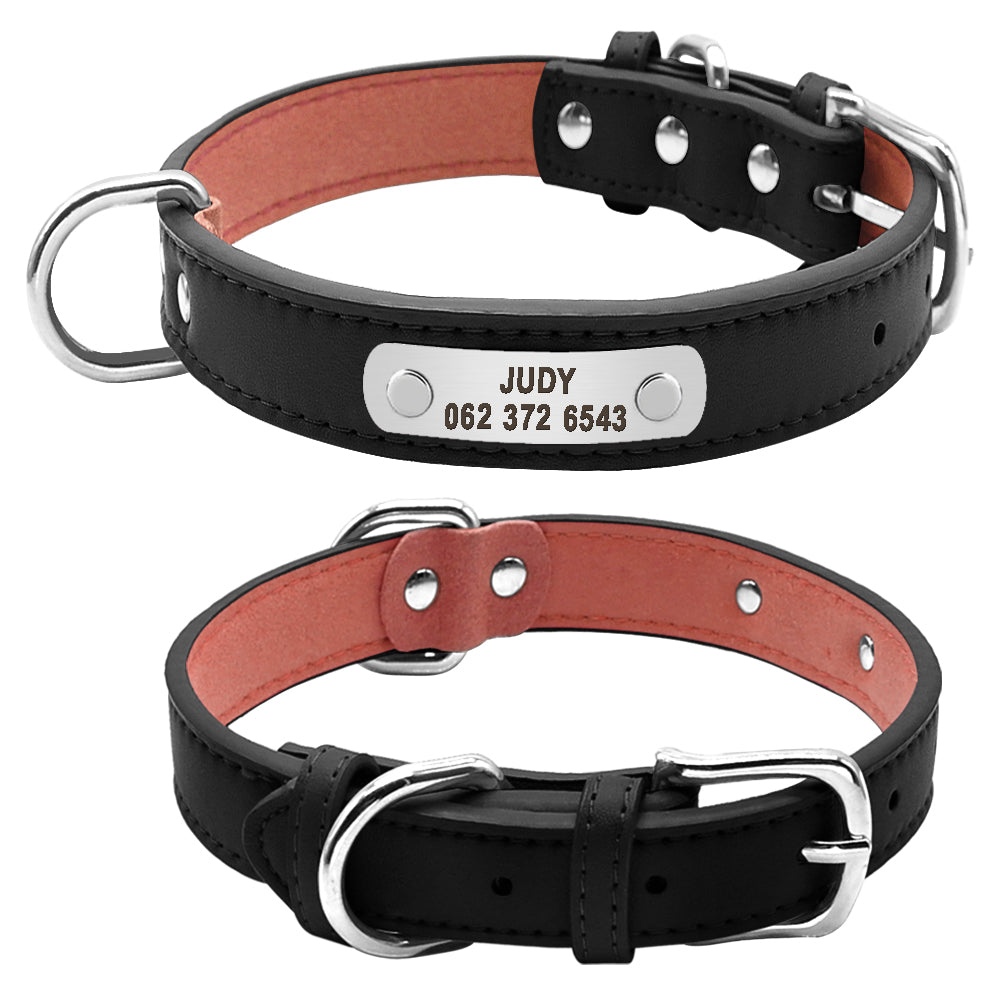 Personalized Pet ID Collar for Dogs & Cats