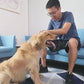 Grooming & Cleaning Pet Comb for Dogs and Cats