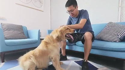 Grooming & Cleaning Pet Comb for Dogs and Cats
