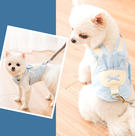 Cute Pet Harness and Leash Set for Cats, Small and Medium-sized Dogs