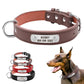 Personalized Pet ID Collar for Dogs & Cats