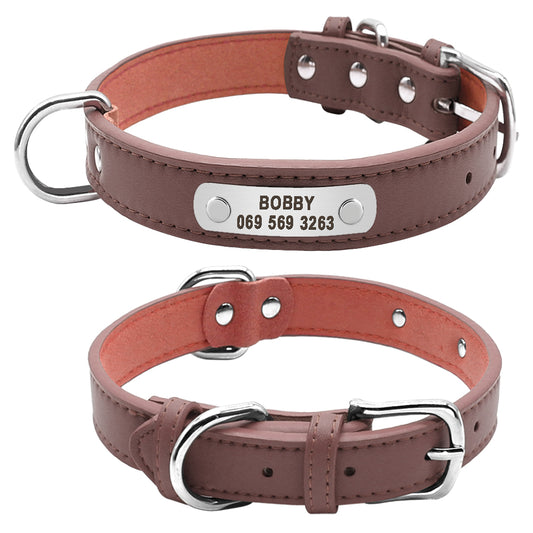 Personalized Pet ID Collar for Dogs & Cats