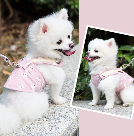 Cute Pet Harness and Leash Set for Cats, Small and Medium-sized Dogs