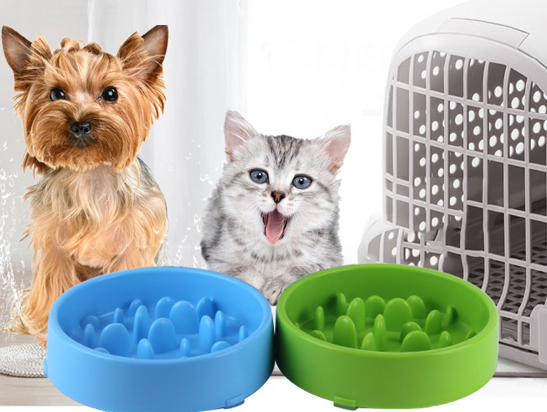 Slow Feeder Pet Bowl for Dogs & Cats