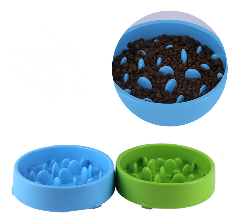 Slow Feeder Pet Bowl for Dogs & Cats