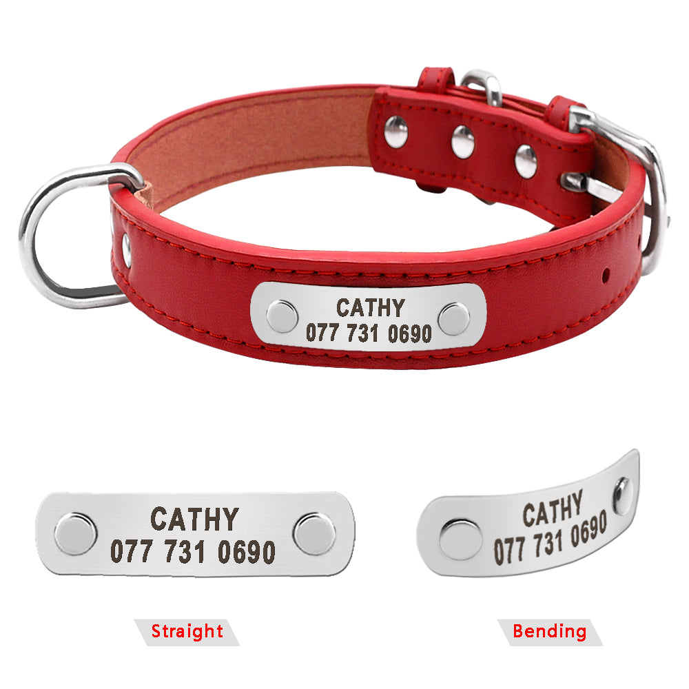 Personalized Pet ID Collar for Dogs & Cats