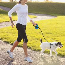 Retractable Pet Leash for Dogs & Cats