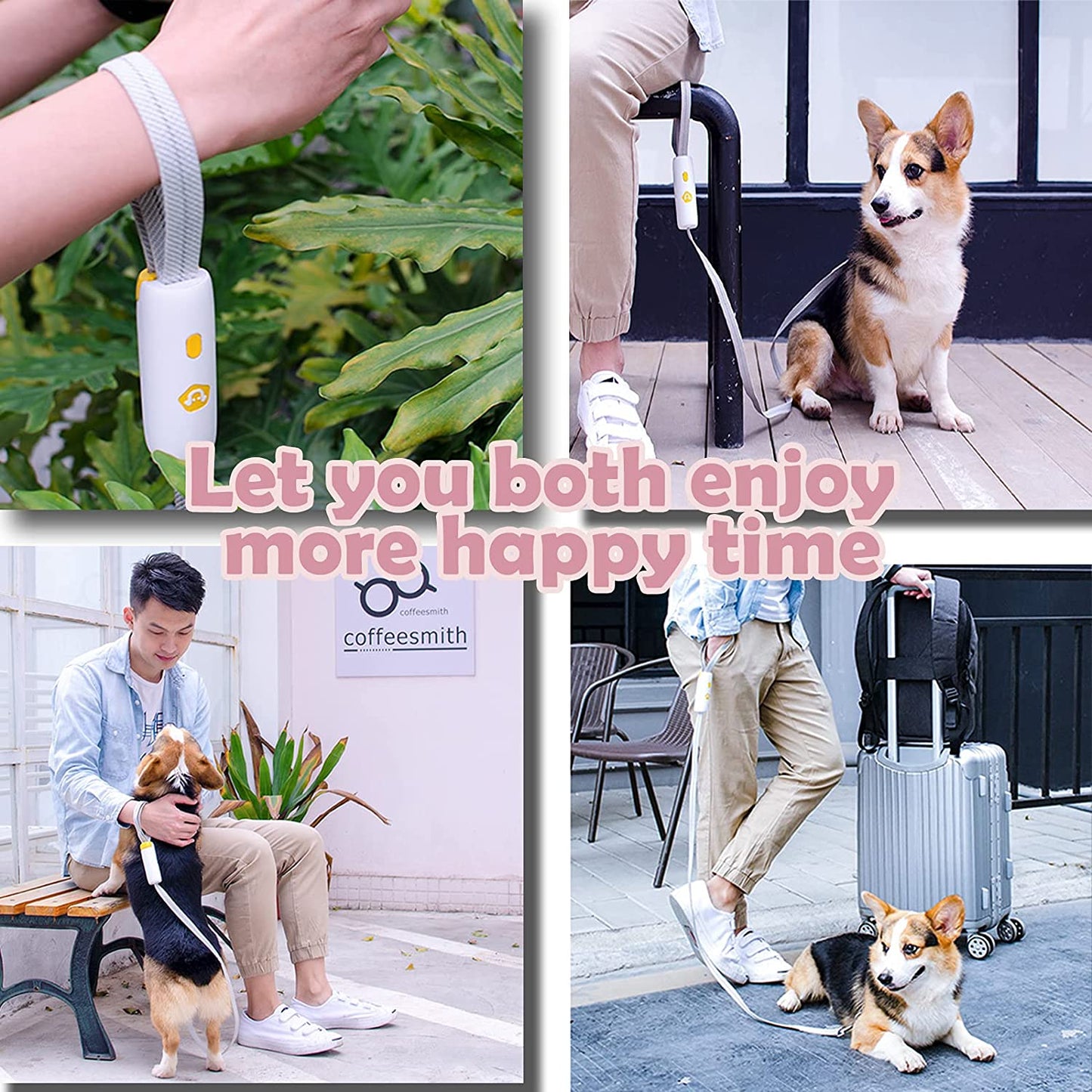 Elastic Pet Leash for Cats and Small & Medium-sized Dogs