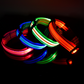 Multifunctional Pet Collar for Dogs & Cats