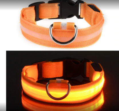 Multifunctional Pet Collar for Dogs & Cats