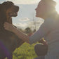 Multifunctional Pet Collar for Dogs & Cats