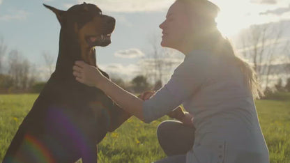 Multifunctional Pet Collar for Dogs & Cats
