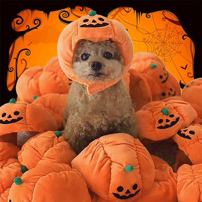 Halloween Pumpkin Pet Hat for Cats & Small Dogs