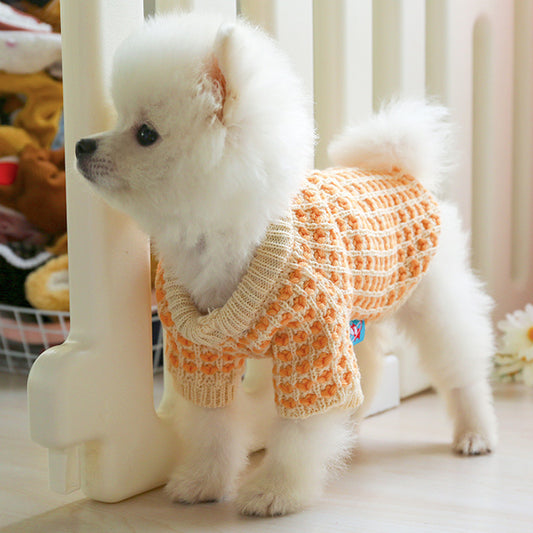 Pet Orange Sweater for Dogs & Cats